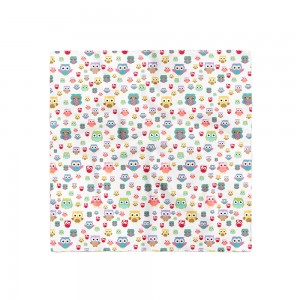 Batista model "Bufnițe Multicolore"